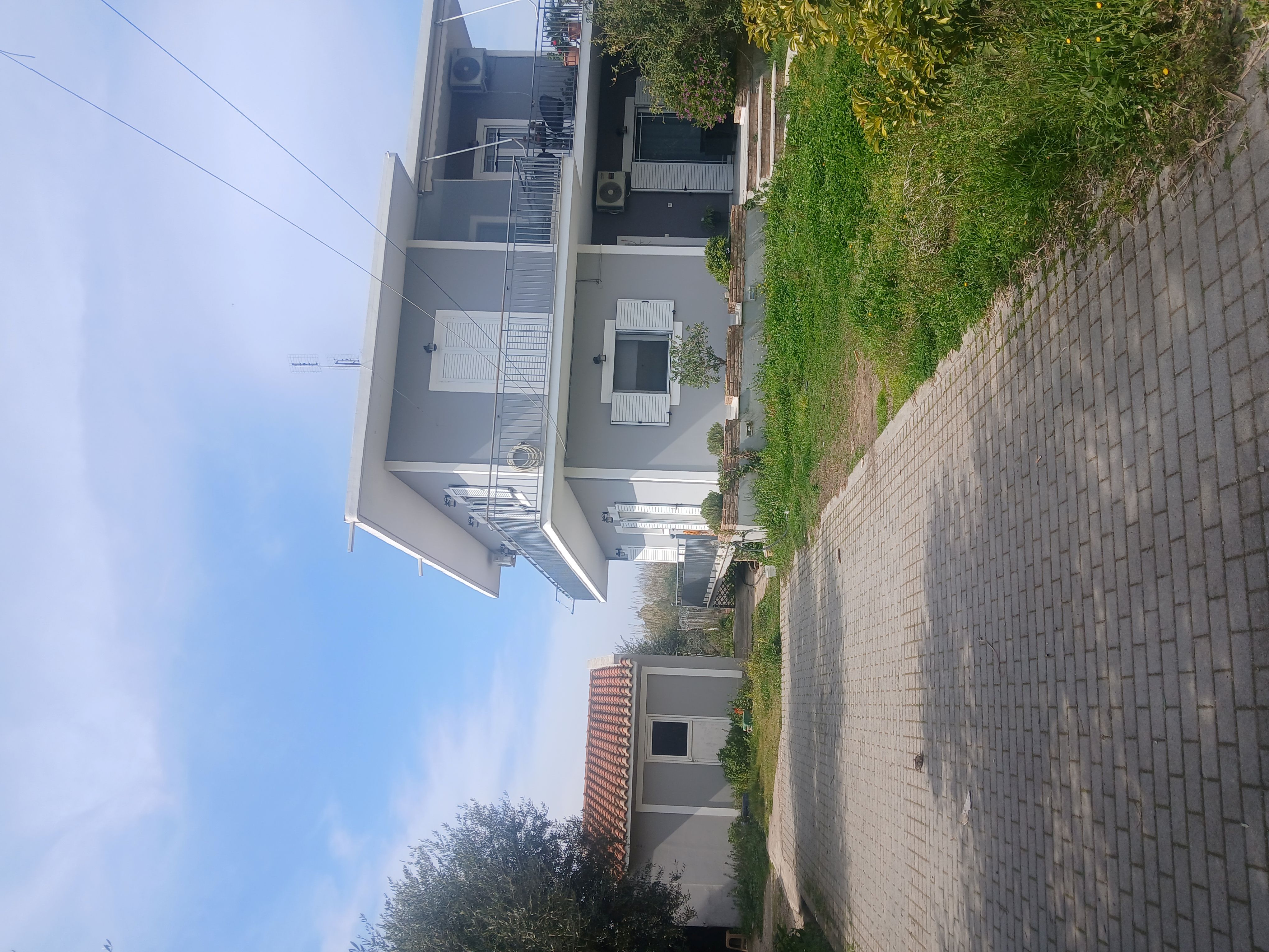 photo1