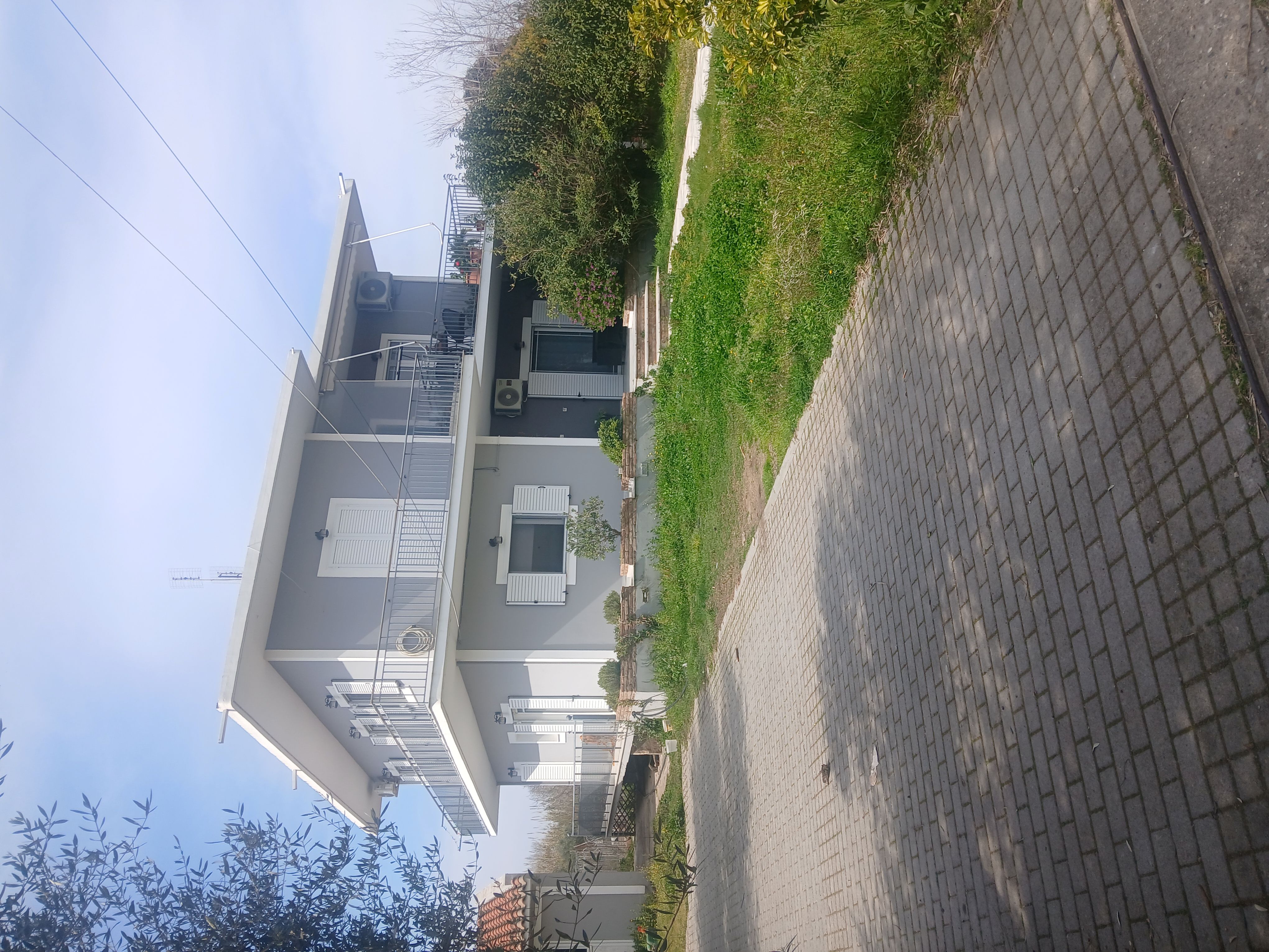 photo2