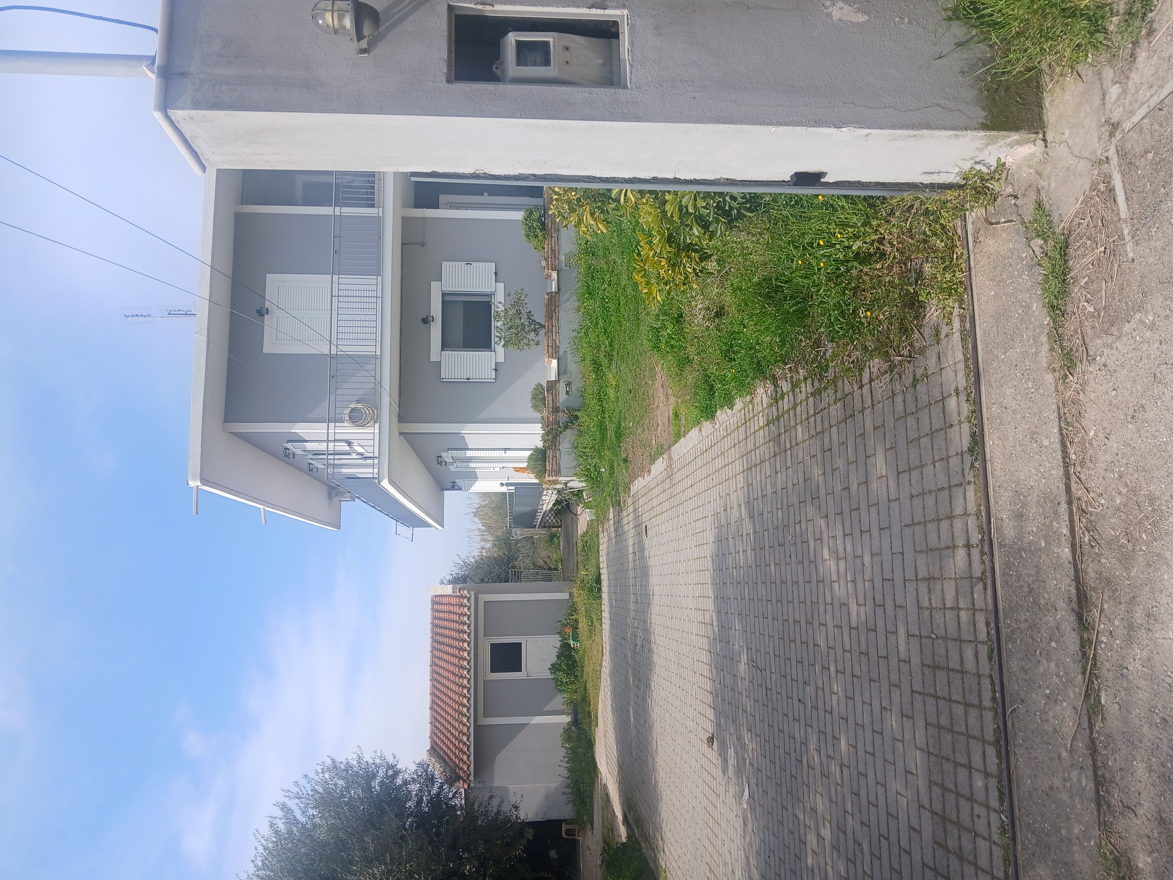 photo3