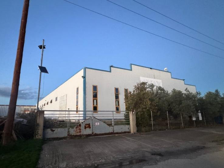 photo6