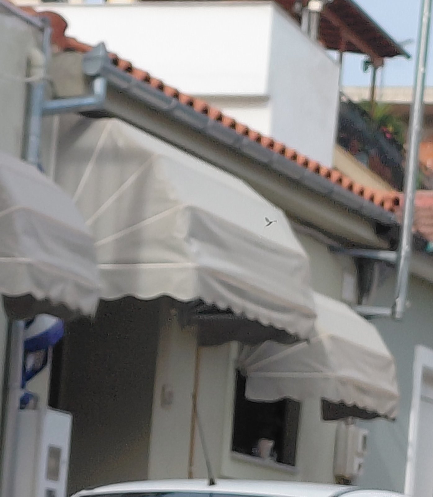 photo0