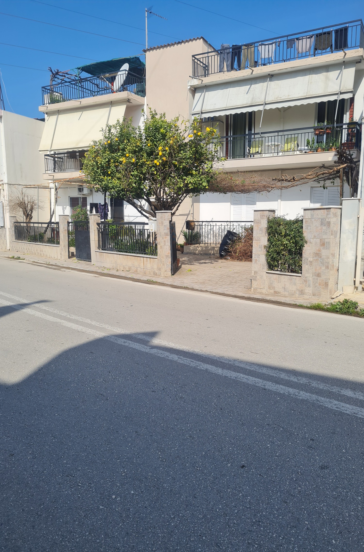 photo1