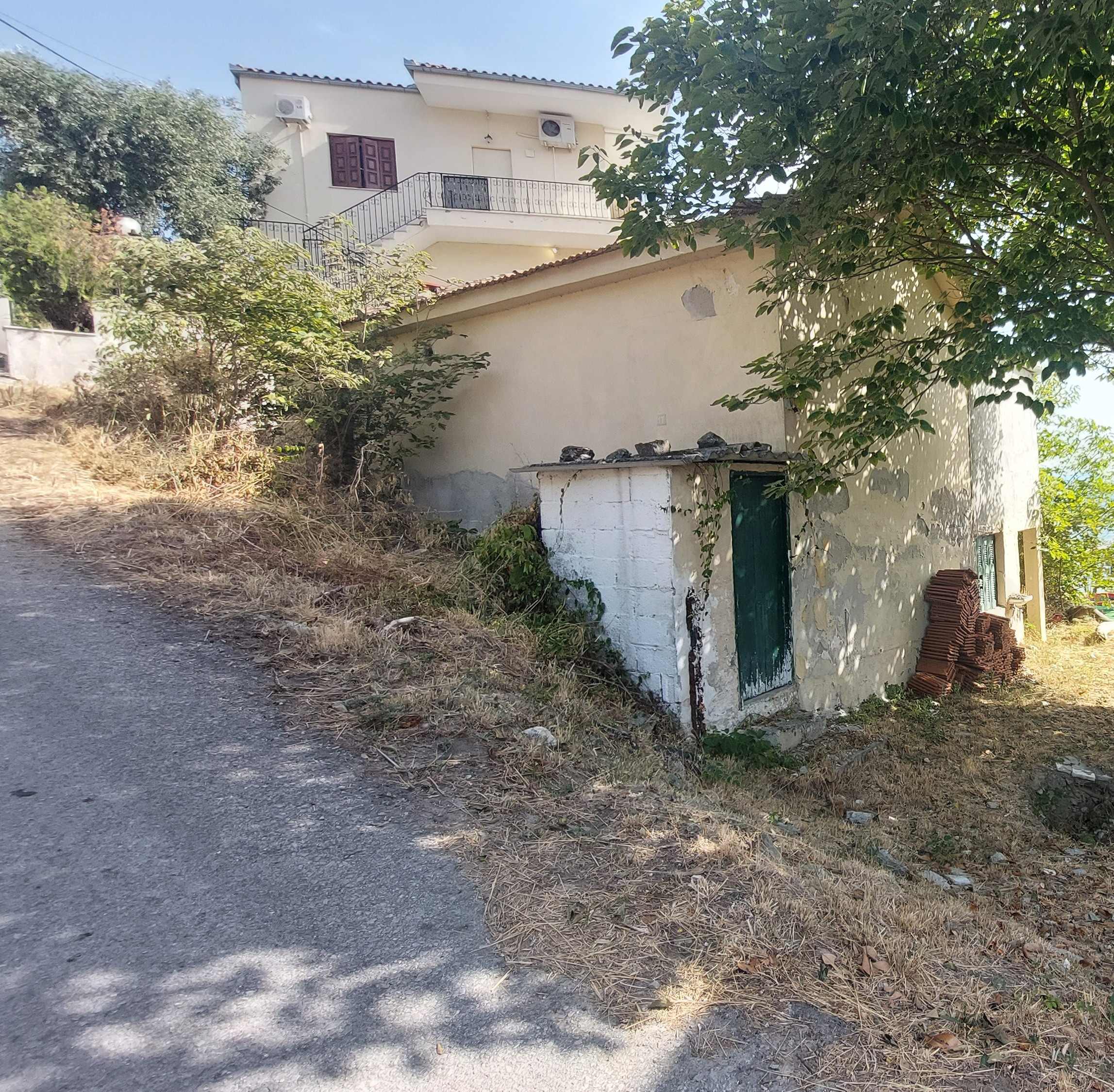 photo2
