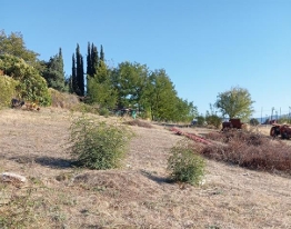 photo1