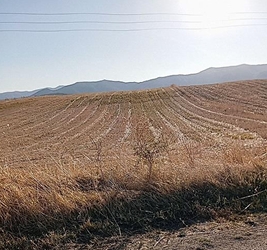 photo5