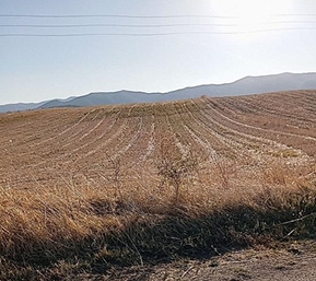 photo6