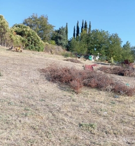 photo6