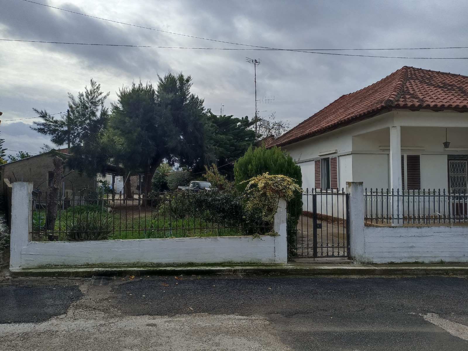 photo1