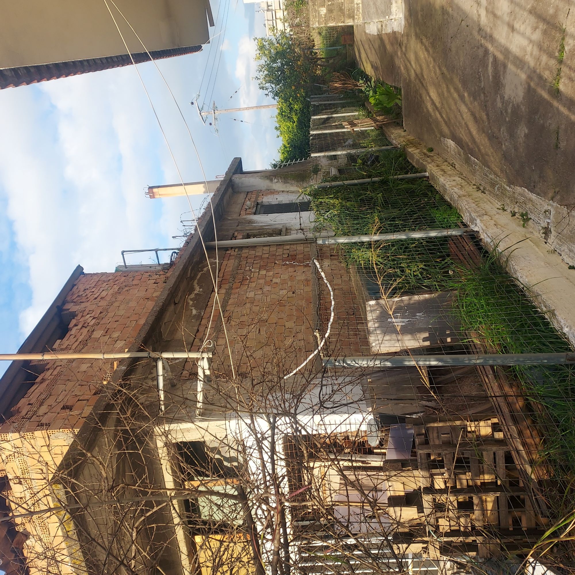 photomain