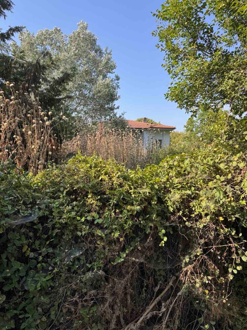 Αγροτεμάχιο  σε πλειστηριασμό Δήμος Λαγκαδά