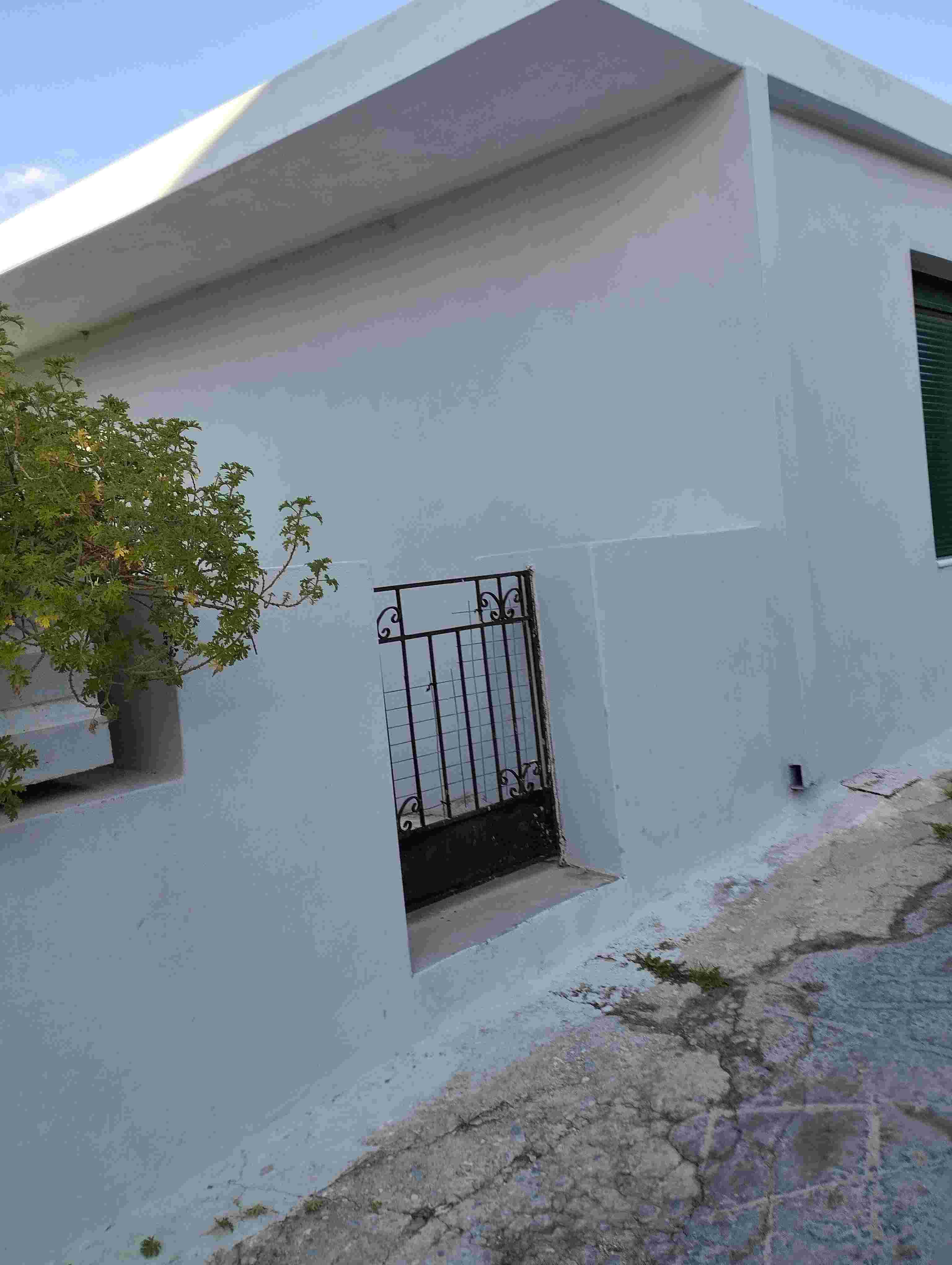 photo2