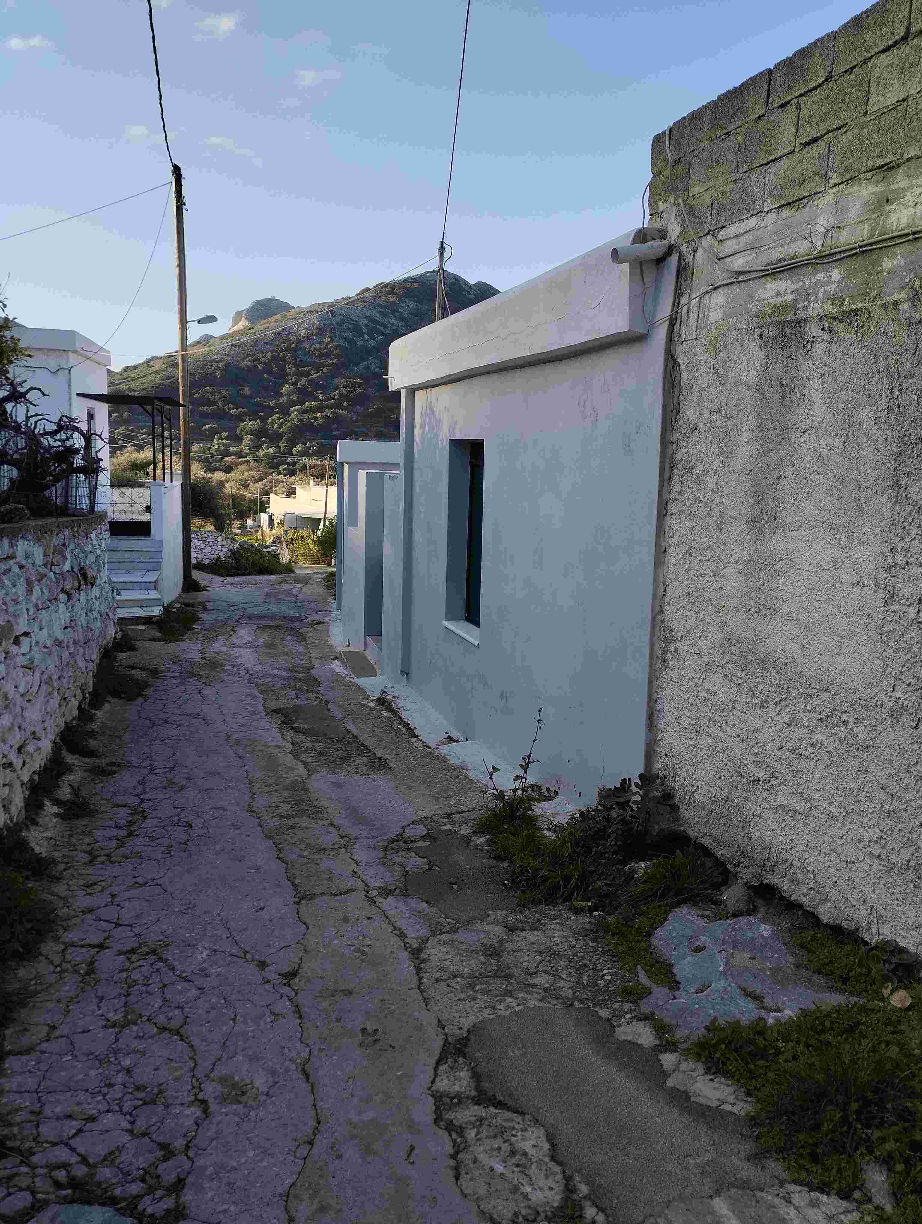 photo5