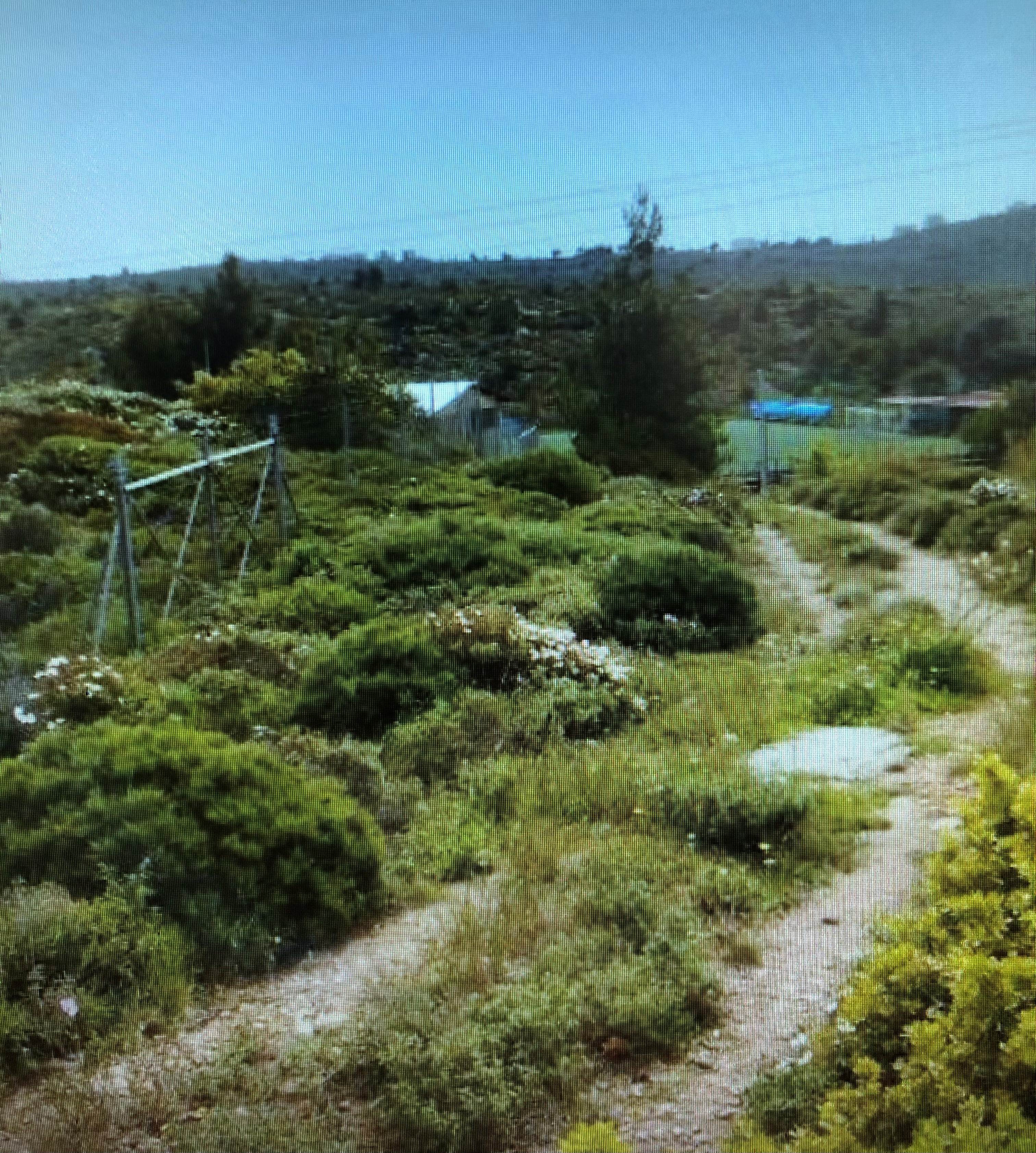photo0