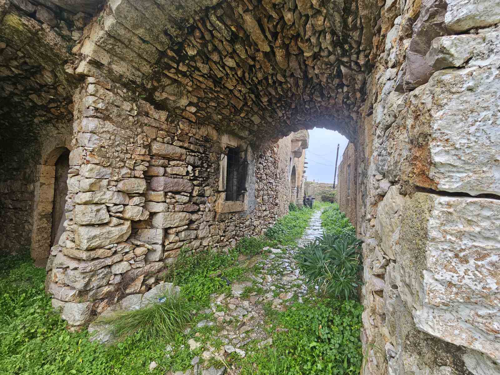 photomain