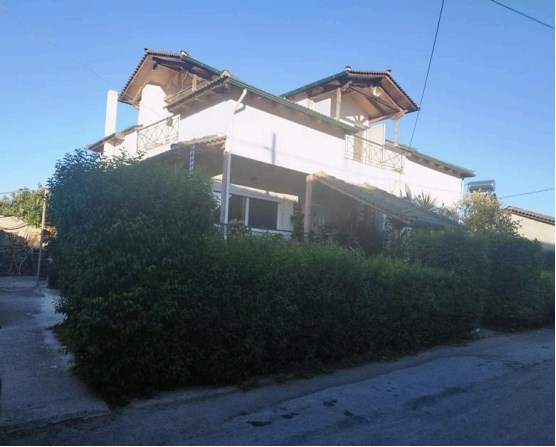 photo0