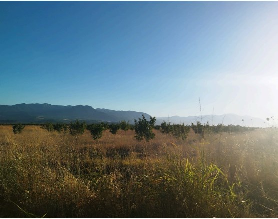 photo2