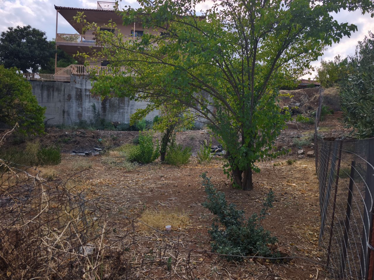 photo1