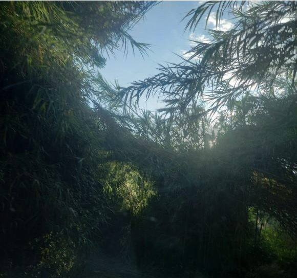 photo0