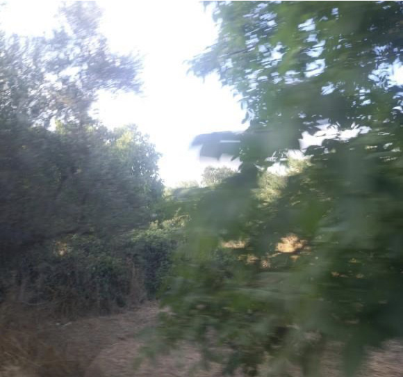 photo1
