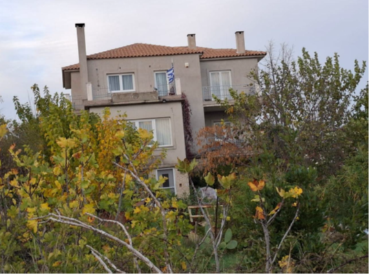 photo1