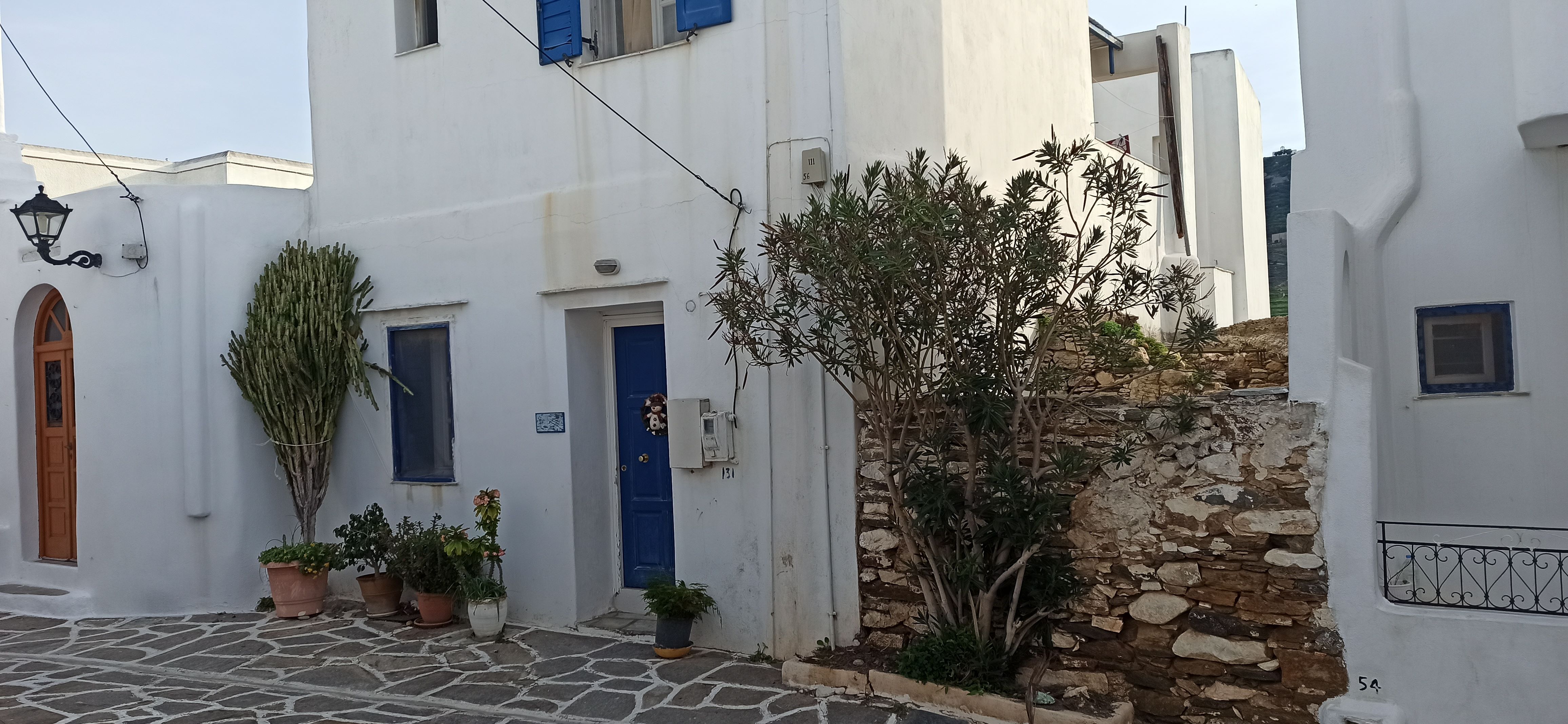 photo1