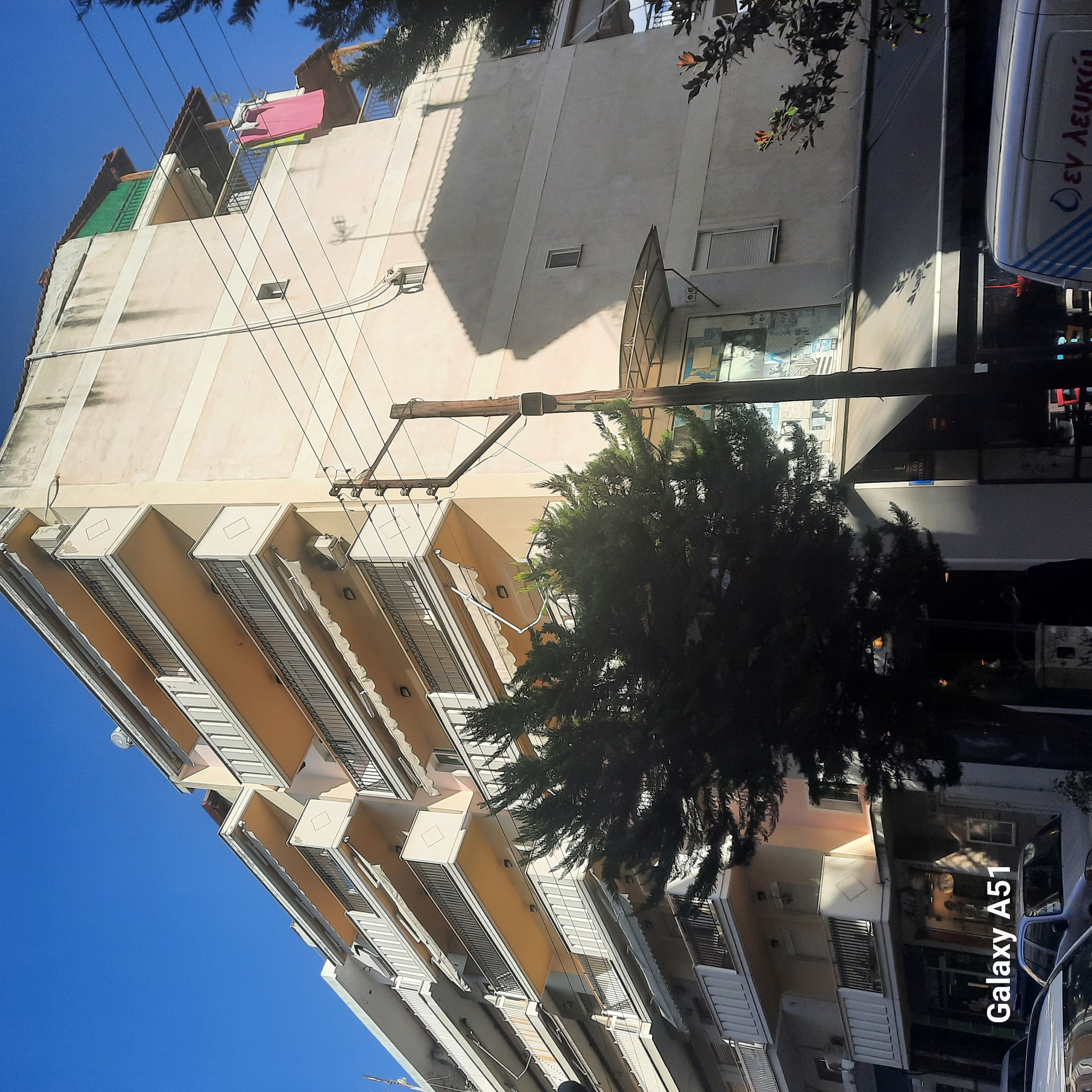 photo1