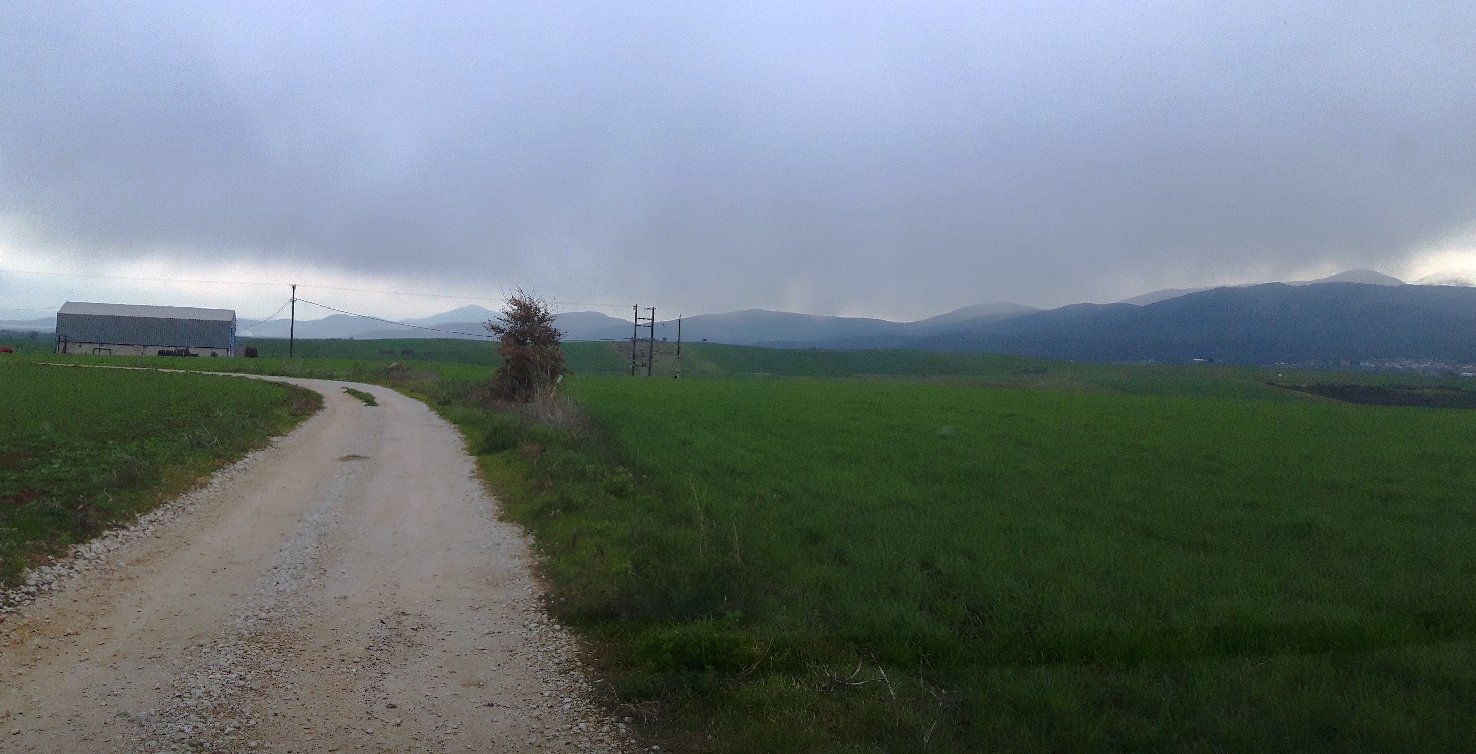 photomain