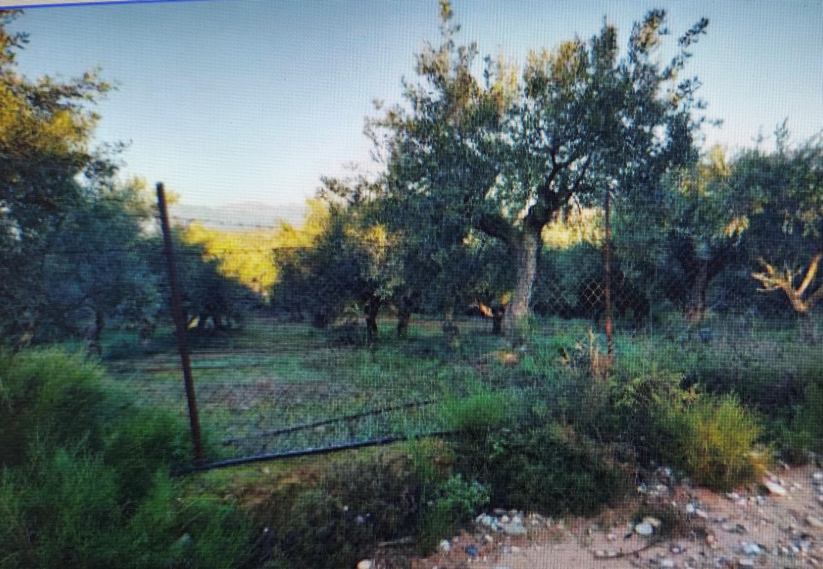 photo0