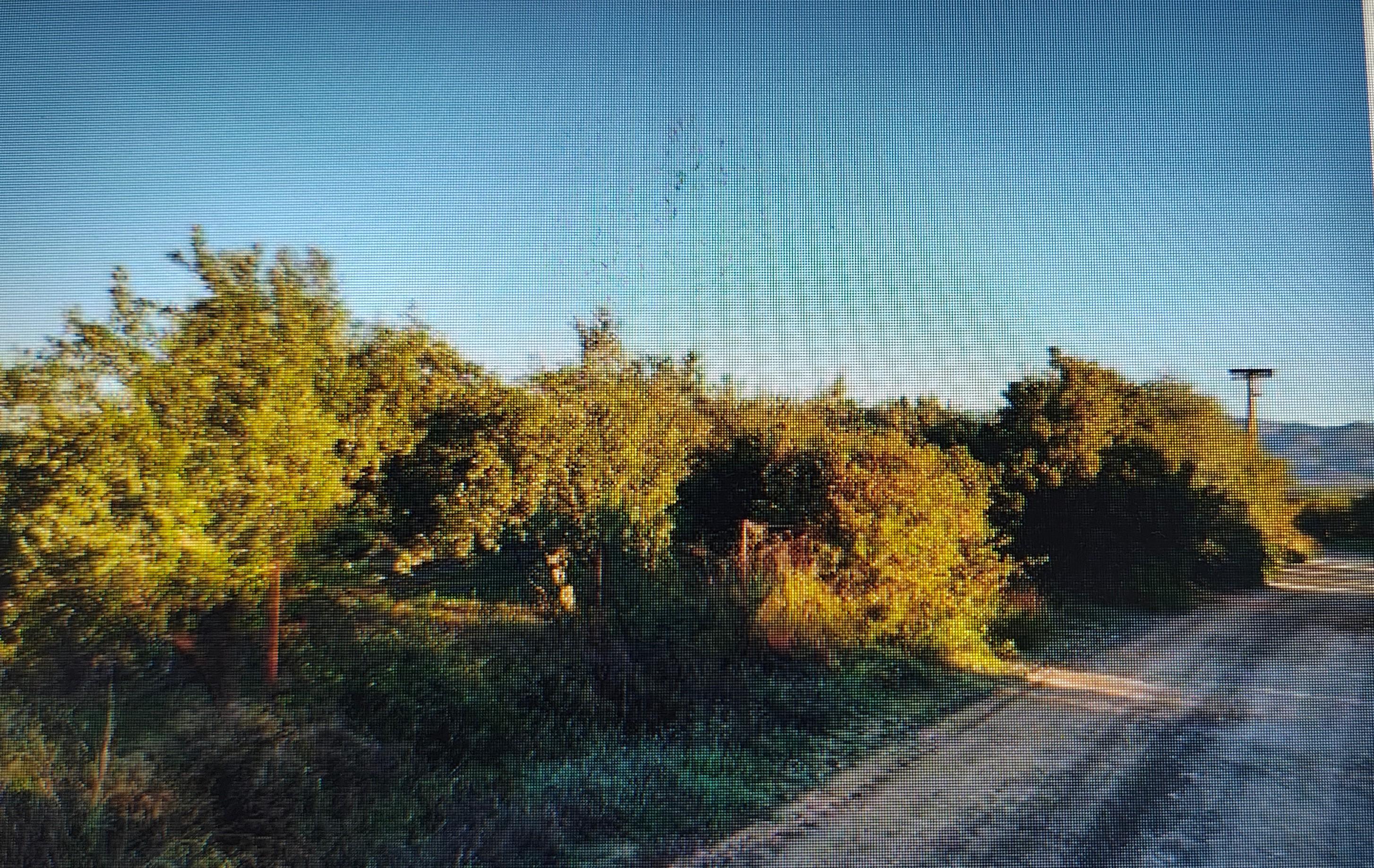 photo1