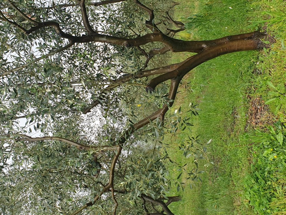 photo2