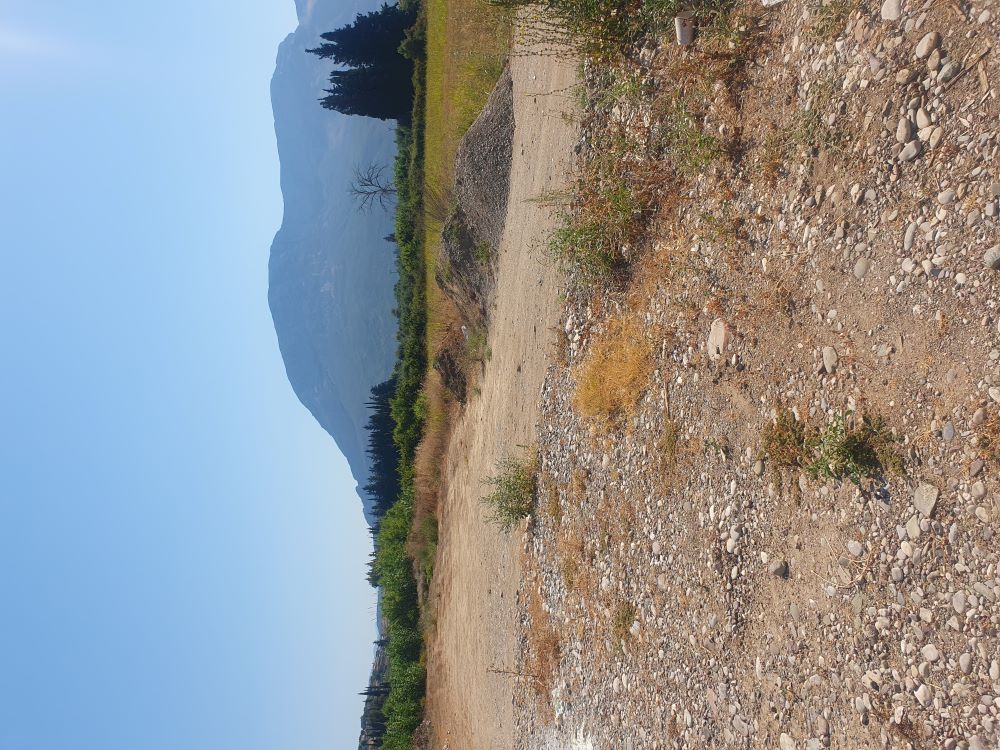 photo1