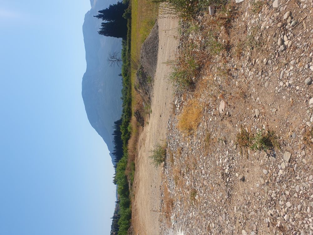 photo2