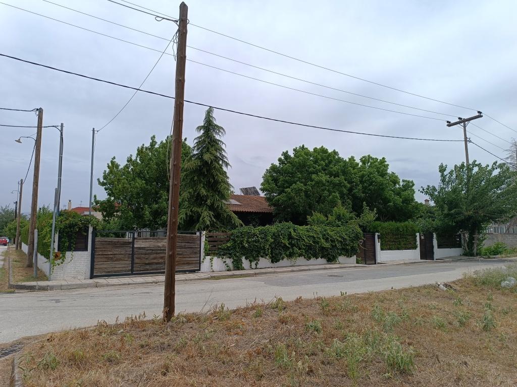 photo1