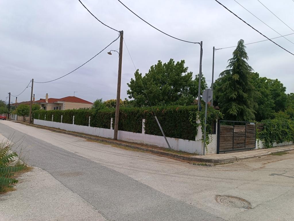 photo2