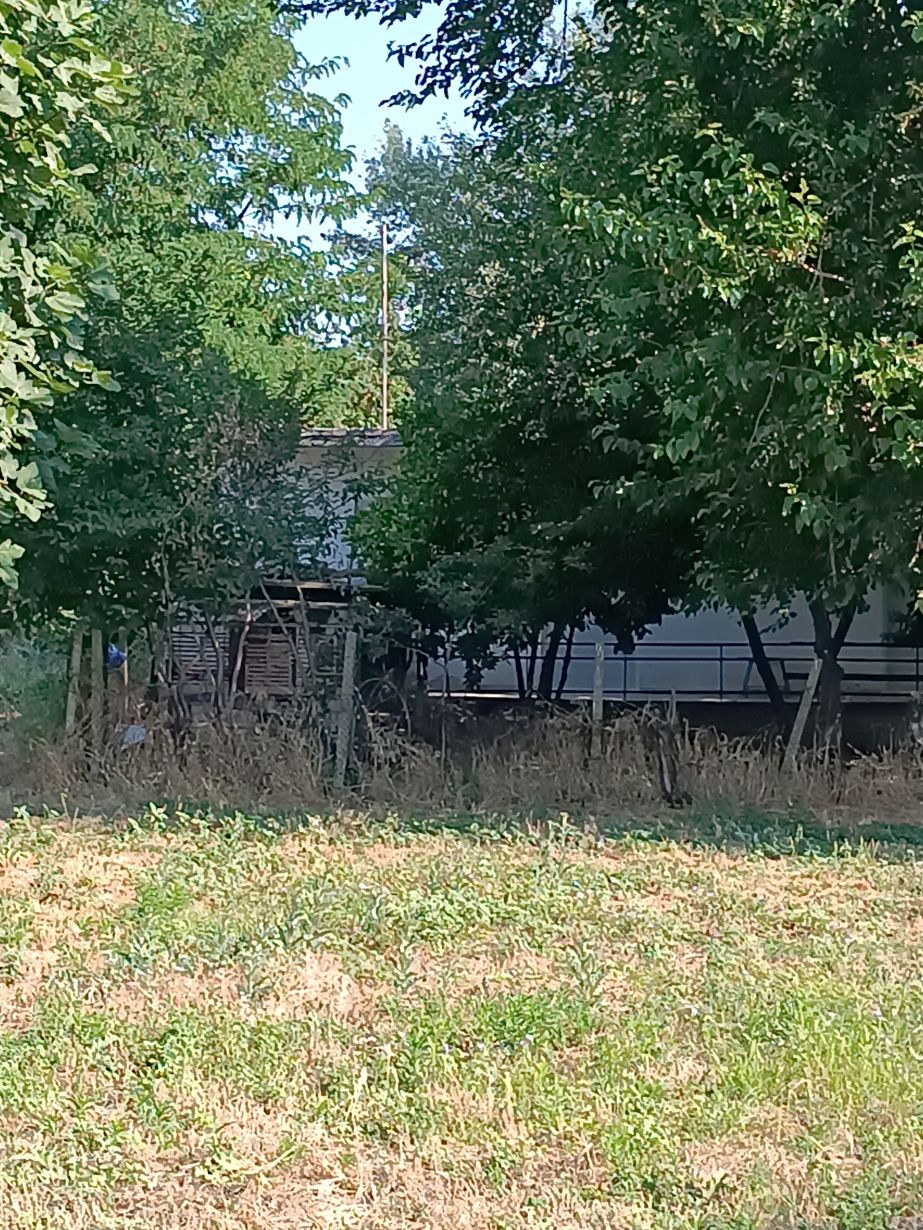photo1