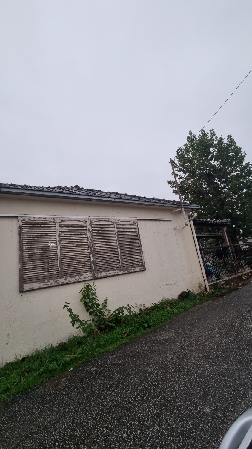 photo0
