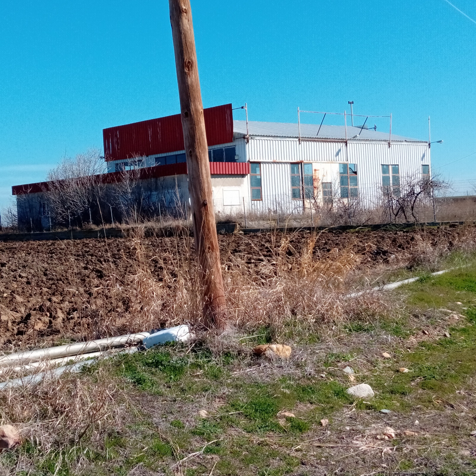 photo6