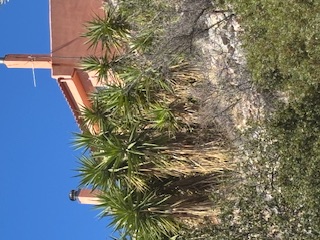 Κατοικία 254 τ.μ. σε πλειστηριασμό Δήμος Διστόμου-Αράχοβας - Αντίκυρας