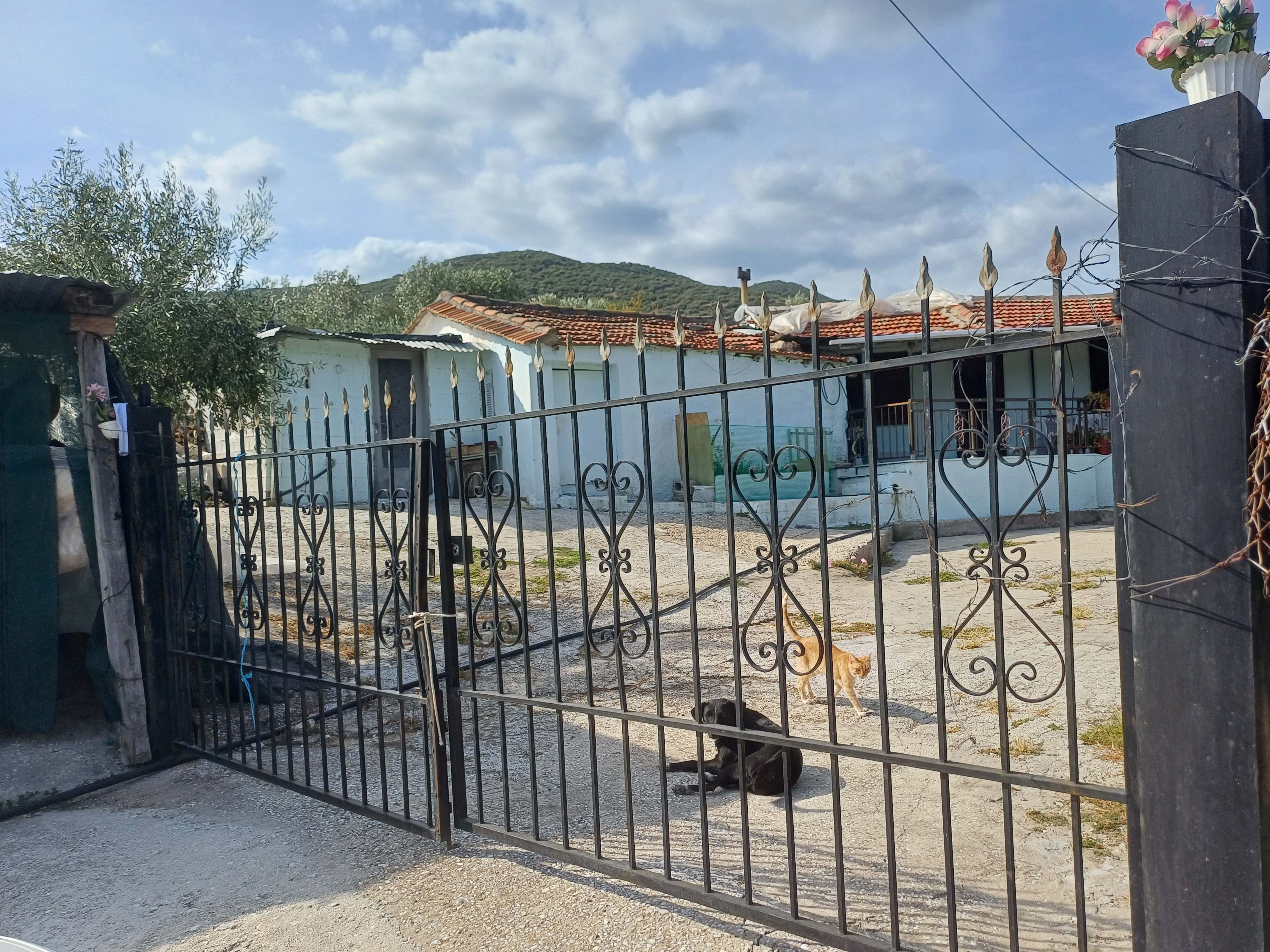 Αγροτεμάχιο με κτίσμα  σε πλειστηριασμό Δήμος Καβάλας