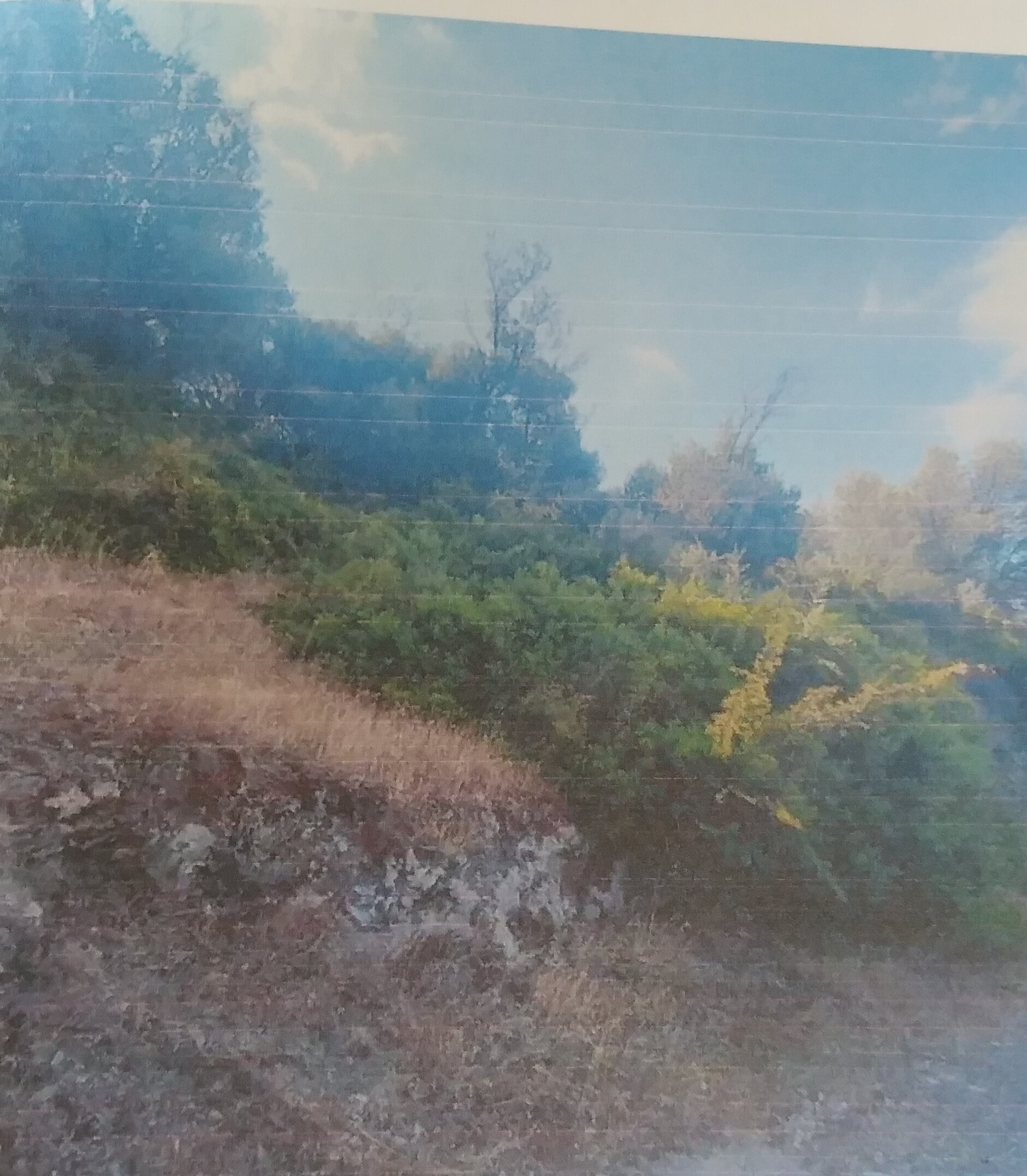 Οικόπεδο  σε πλειστηριασμό Municipality of Eretria