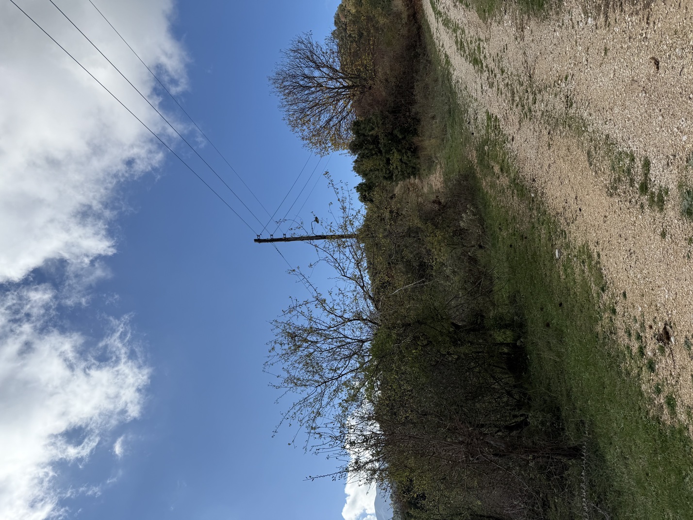 Αγροτεμάχιο  σε πλειστηριασμό Δήμος Ιωαννιτών