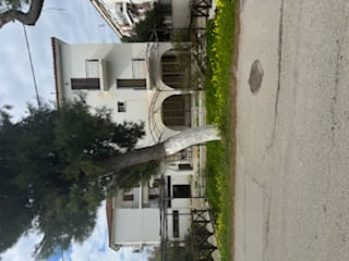photo2