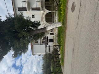 photo4