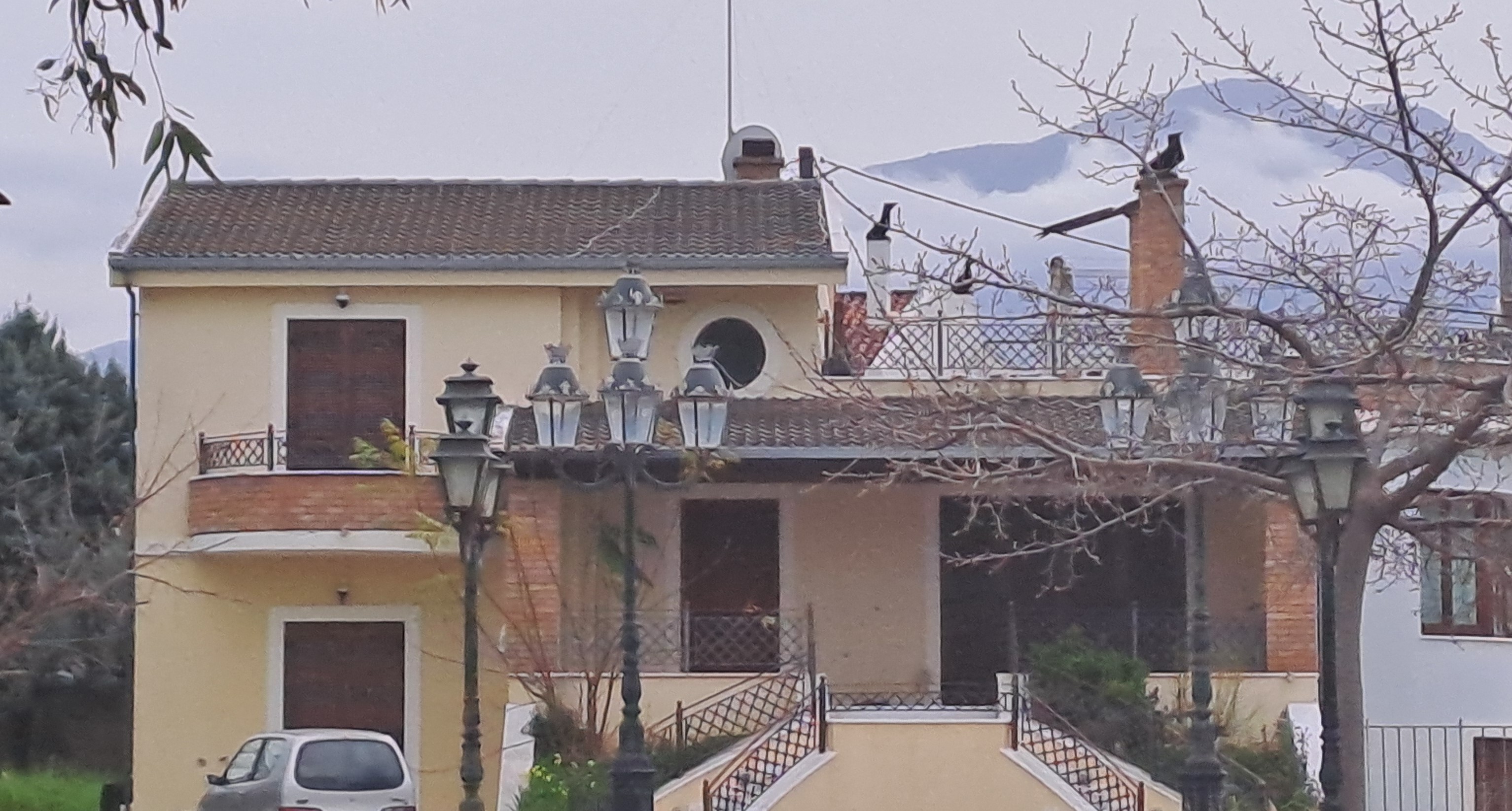 photo1