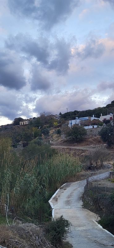 photo0