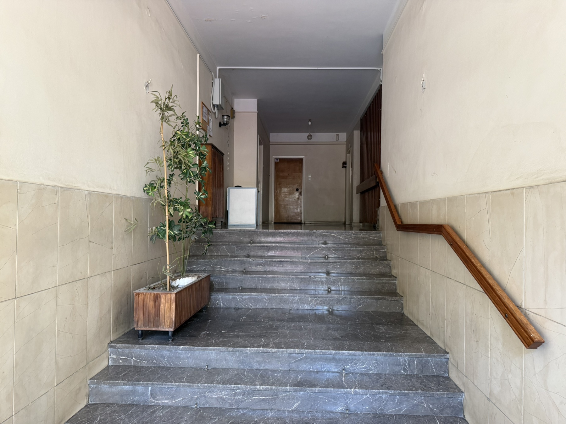 photo1