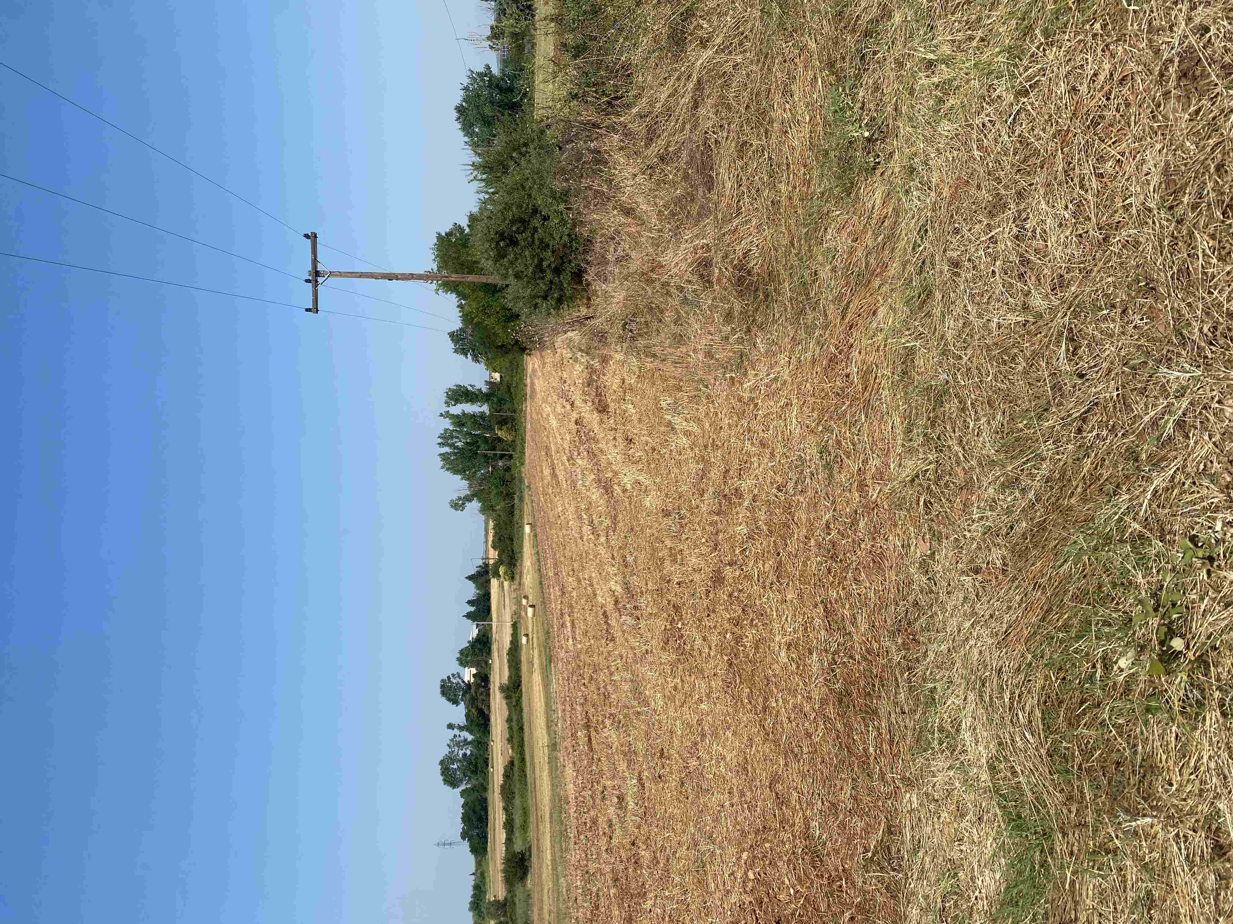 photo0