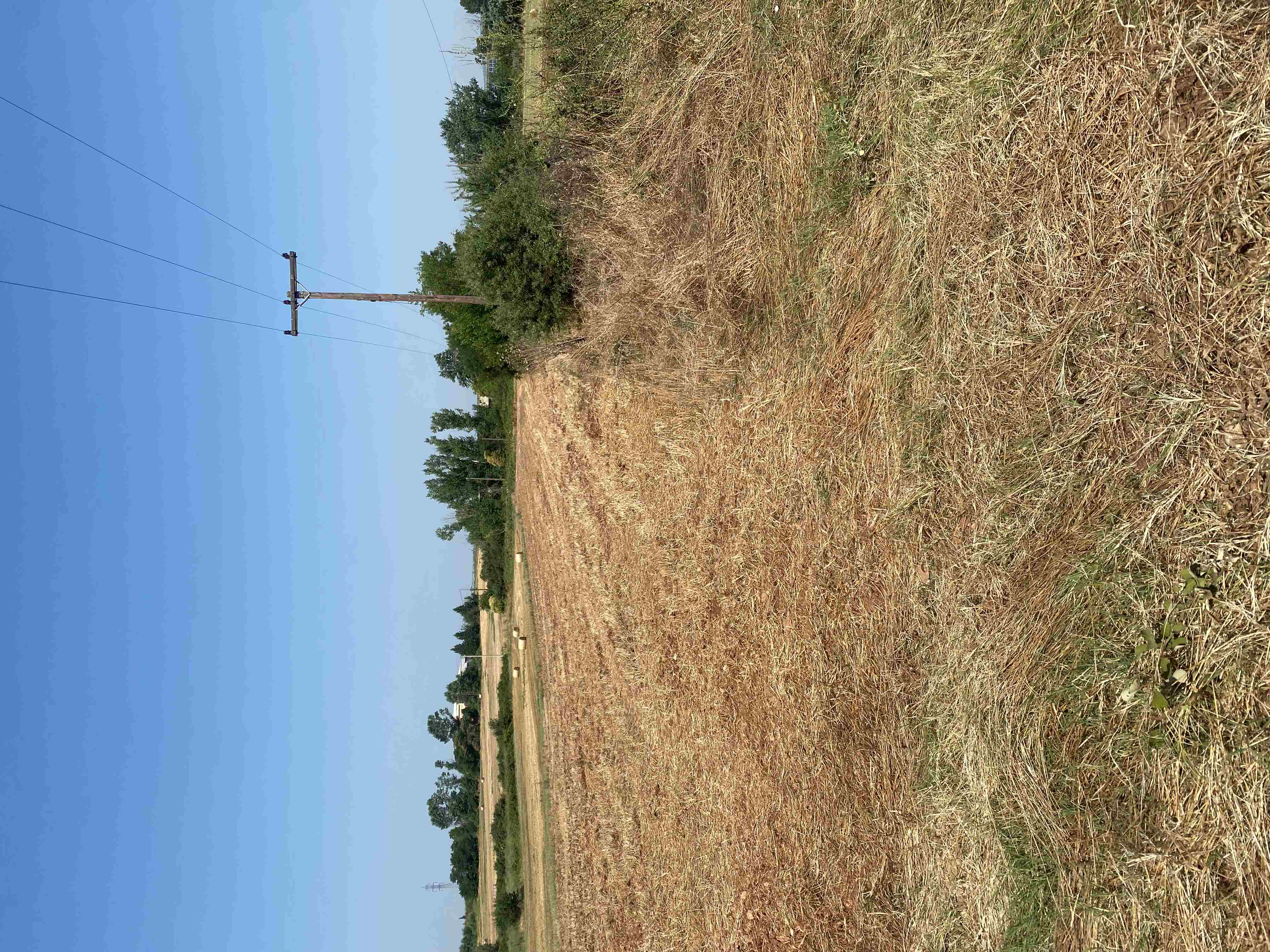 photo1