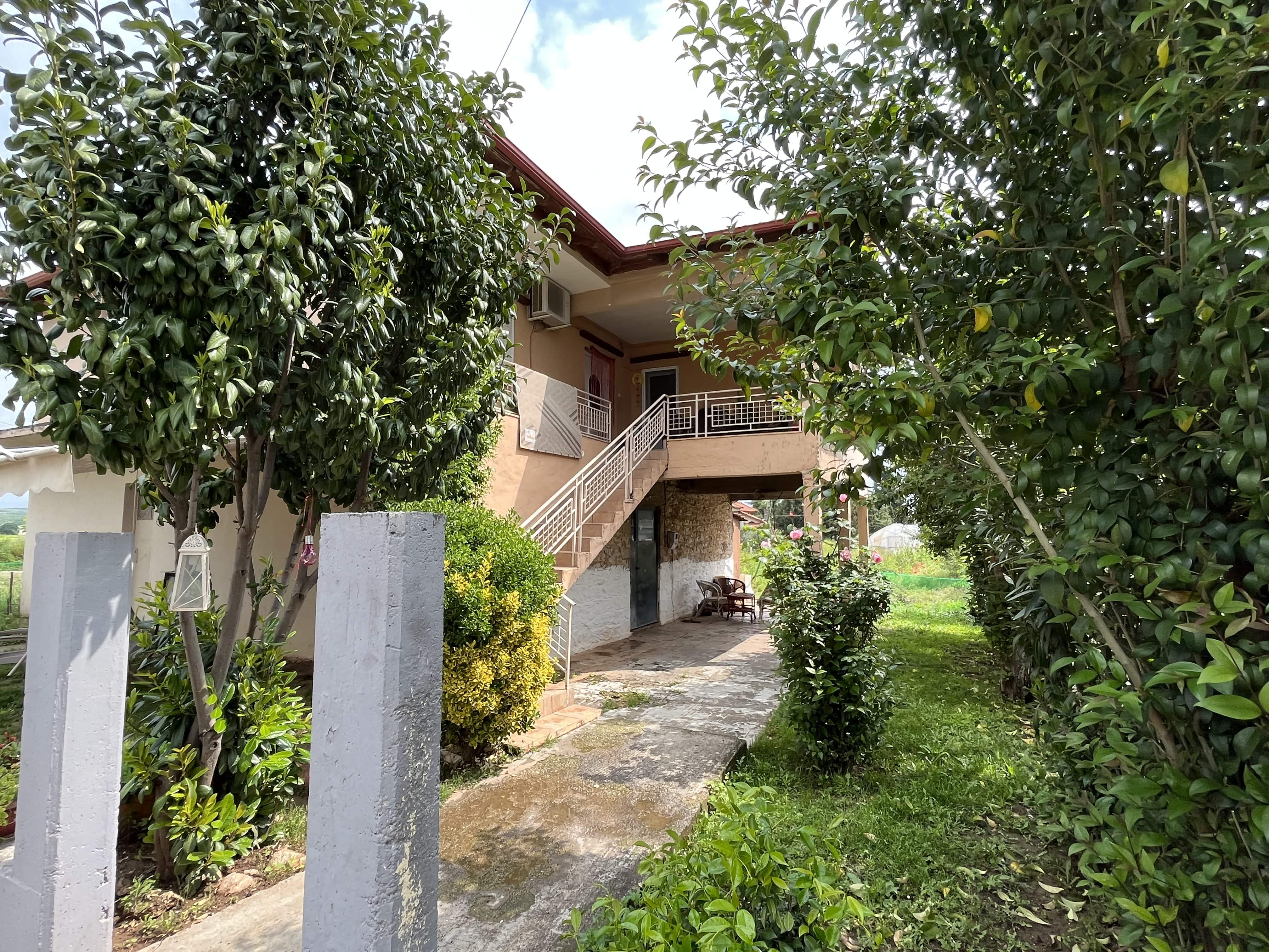 photo1