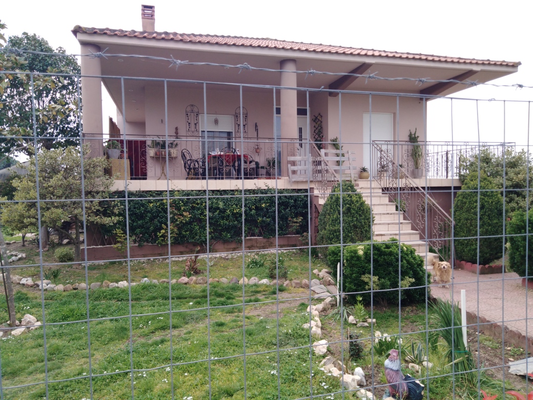 photo1